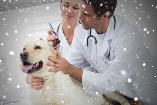 Composite image of veterinarians examining ear of dog against snow falling