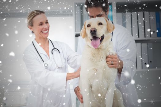 Composite image of veterinarians examining dog against snow falling