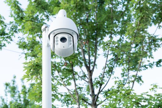Outdoor security CCTV monitor white color on tree backgrounds