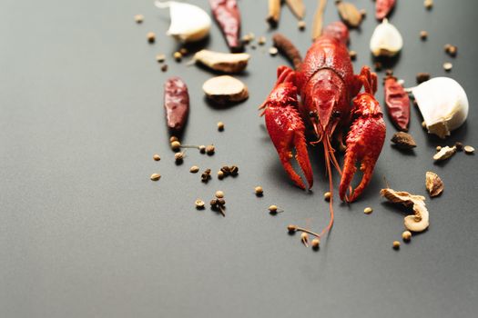 Crayfish red, Baby Lobster with herb for stir fry on black background