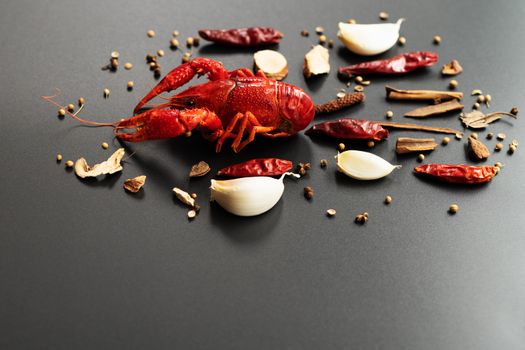 Crayfish red, Baby Lobster with herb for stir fry on black background