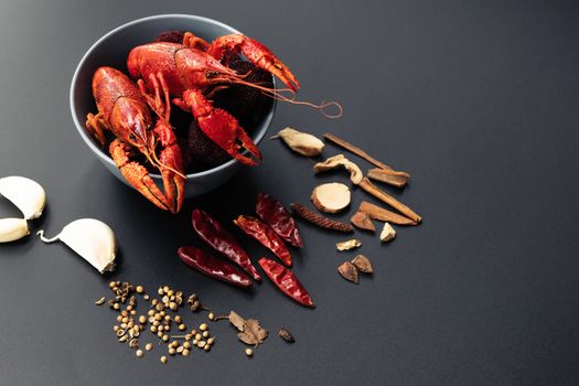 Crayfish red, Baby Lobster with herb for stir fry on black background