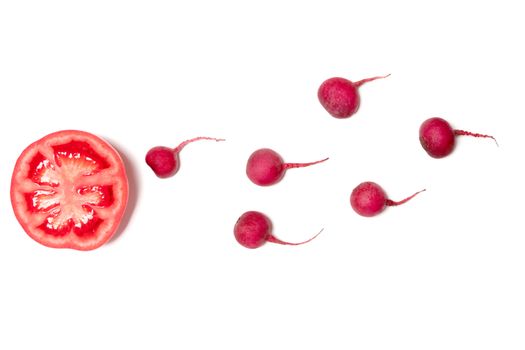 sperm swimming toward the egg concept,Human Sperm to Human Egg,crimson giant red radish and red tomato vegetable isolated