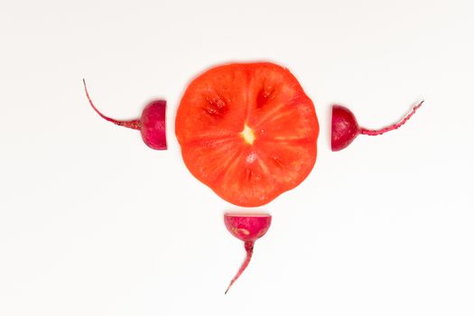 sperm swimming toward to egg concept. crimson giant red radish and red tomato vegetable