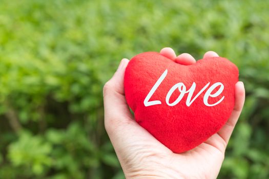 red heart with Love word in hand on the green grass backgrounds with copy space
