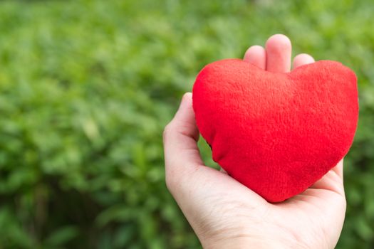 red heart in hand on the green grass backgrounds with copy space