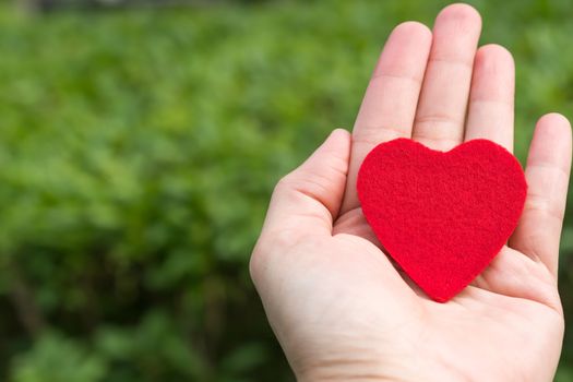 red heart in hand on the green grass backgrounds with copy space