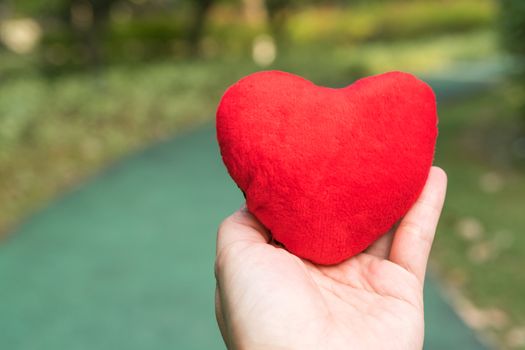 red heart in hand on the green walking path backgrounds with copy space
