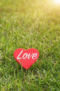 red heart with love word on the green grass backgrounds with copy space
