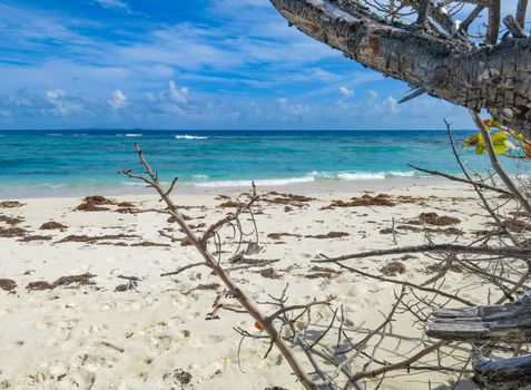 A breathtaking view of a beach in Puerto Rico.