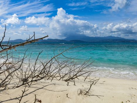 Old tree branches sit on an empty beach in Puerto Rico.