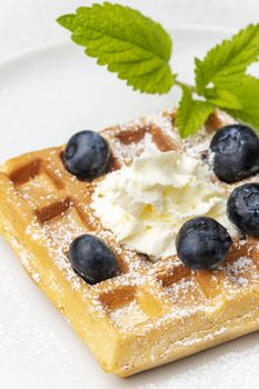 belgian waffle with blueberries
