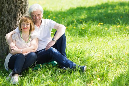 Attractive married senior couple enjoying togetherness sitting under the tree at spring meadow