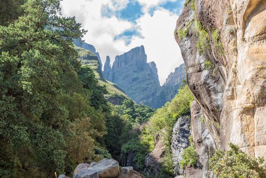 View from the Tugela Gorge towards the Devils Tooth and Toothpick in the Amphitheatre
