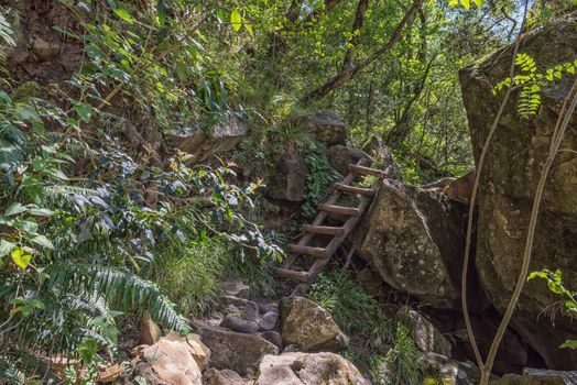 A wooden ladder on the hiking trail to the Tugela Gorge and Tunnel in the Drakensberg