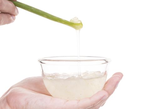 Spa concept with aloe vera,Skin moisture,Reduce wrinkles.