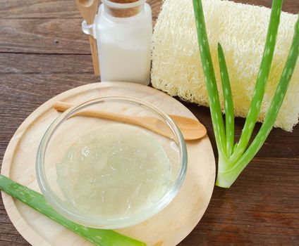 aloe vera spa for use in skin care