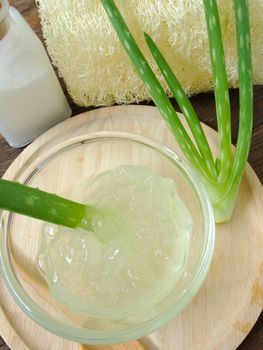 aloe vera spa for use in skin care