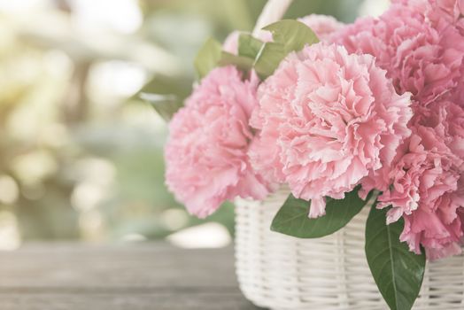 Pink carnations in the basket with the morning light.