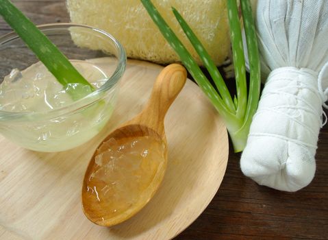 aloe vera spa for use in skin care