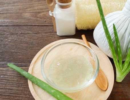 aloe vera spa for use in skin care