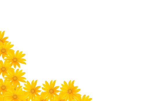 Small yellow flowers on a white background.