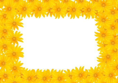 Small yellow flowers on a white background.