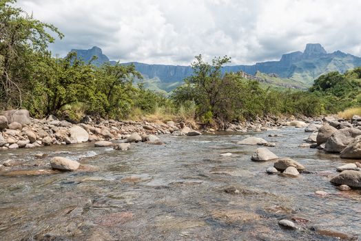 View of the Tugela River with the Amphitheatre in the Drakensberg in the back