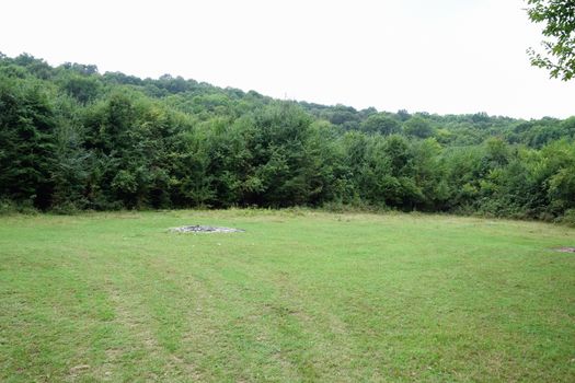 Clearing in the forest in the mountains of the Caucasus. Near the village of Shapsugskaya.