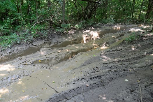 Dirty blurred forest road with a deep rut.