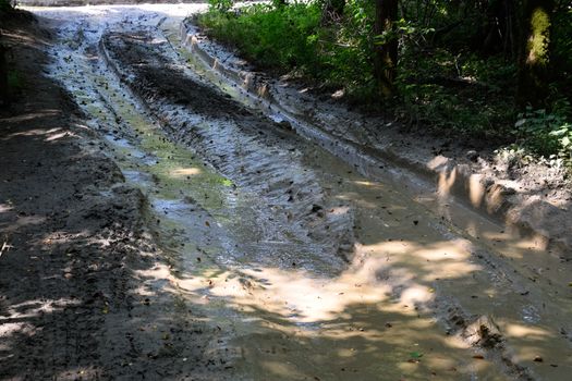 Dirty blurred forest road with a deep rut.