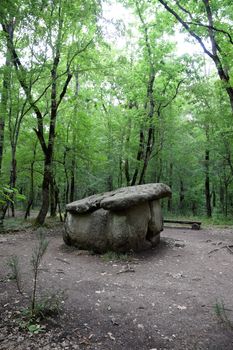 Dolmen in Shapsug. Forest in the city near the village of Shapsugskaya, the sights are dolmens and ruins of ancient civilization.