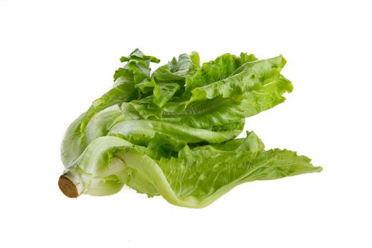 Lettuce isolated on a white background