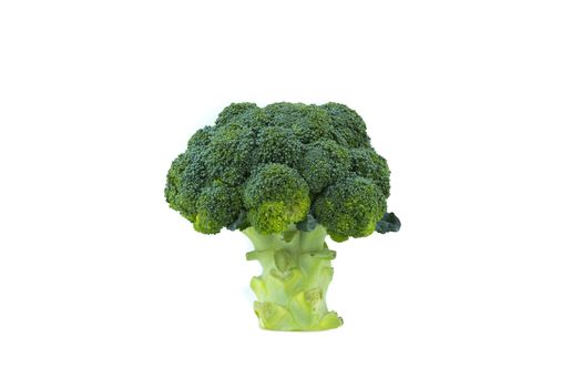 Fresh broccoli isolated on white background