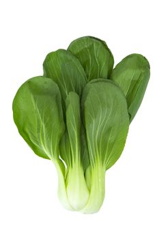 Pok Choi isolated on white background