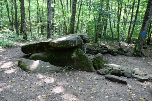 Dolmen in Shapsug. Forest in the city near the village of Shapsugskaya, the sights are dolmens and ruins of ancient civilization.