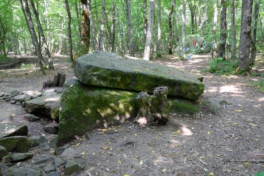 Dolmen in Shapsug. Forest in the city near the village of Shapsugskaya, the sights are dolmens and ruins of ancient civilization.