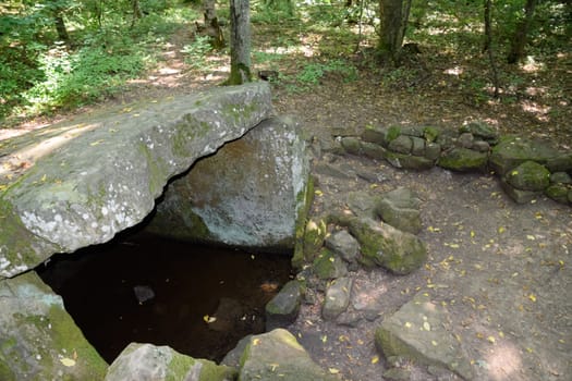Dolmen in Shapsug. Forest in the city near the village of Shapsugskaya, the sights are dolmens and ruins of ancient civilization.
