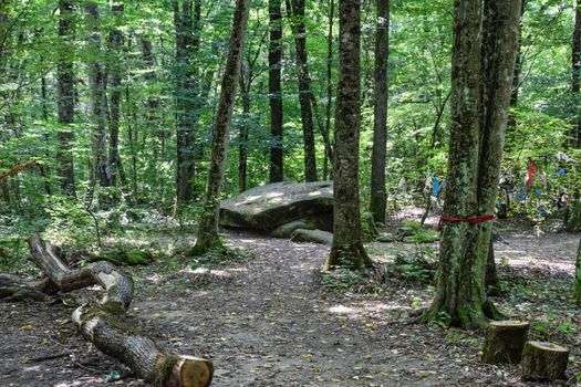Dolmen in Shapsug. Forest in the city near the village of Shapsugskaya, the sights are dolmens and ruins of ancient civilization.