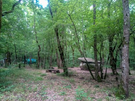 Dolmen in Shapsug. Forest in the city near the village of Shapsugskaya, the sights are dolmens and ruins of ancient civilization.