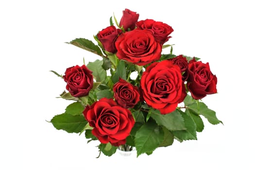 Overhead shot of beautiful red roses isolated on white background