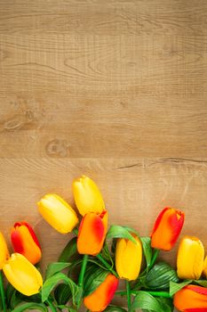 Tulips bunch on wooden background. Space for text.