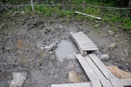 Wooden flooring is a fucking passage through the mud, a mud volcano in the forest.