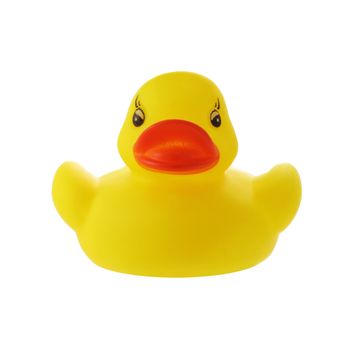 A yellow rubber duck child's bath toy isolated on a white background with clipping path