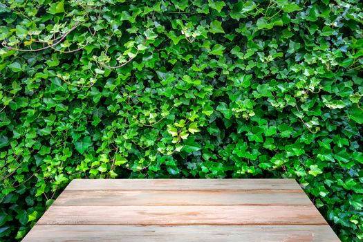 Old wooden vintage table on the background of natural wall from green ivy leaves