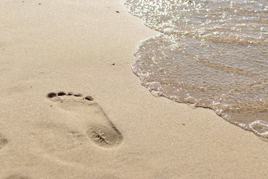 Footprints on a sandy beach at sea waves on a sunny day.