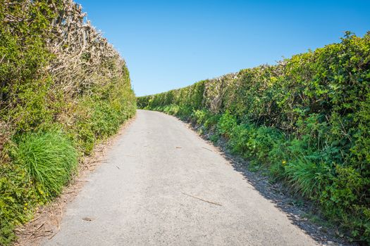 Rural lane in Cumbria England in Sprintime