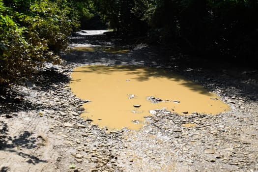 A large puddle on a dirt country road.