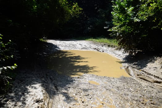 A large puddle on a dirt country road.