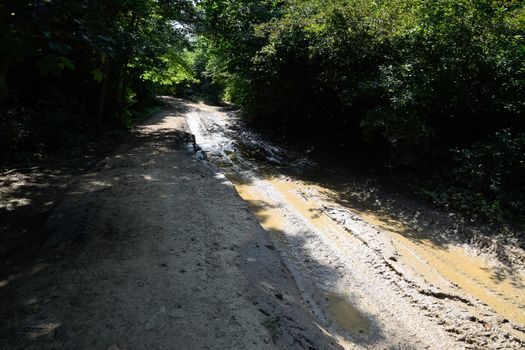 A large puddle on a dirt country road.